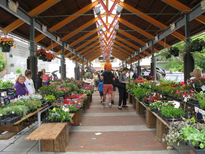 A shot of the flower and herbs aisle at Findlay Farmer's Market in Cincinnati, Ohio, with a man carrying a child on his shoulders surrounded by nasturtiums, herbs, and rosemary in pots.